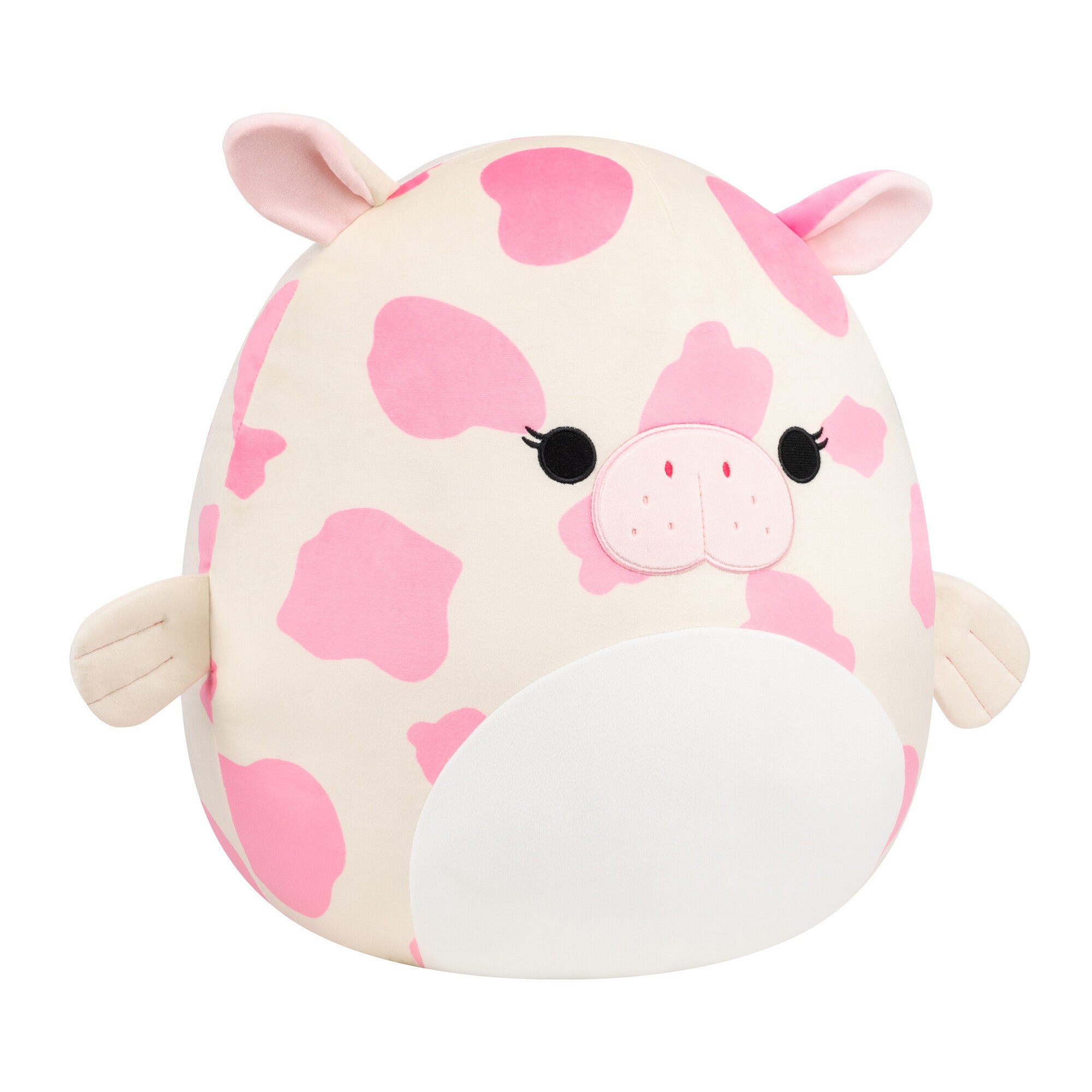 Mondy the Sea Cow Squishmallow 16-inch